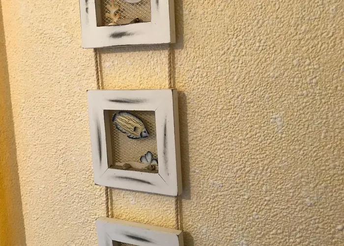 Sonnenwind * 普雷罗